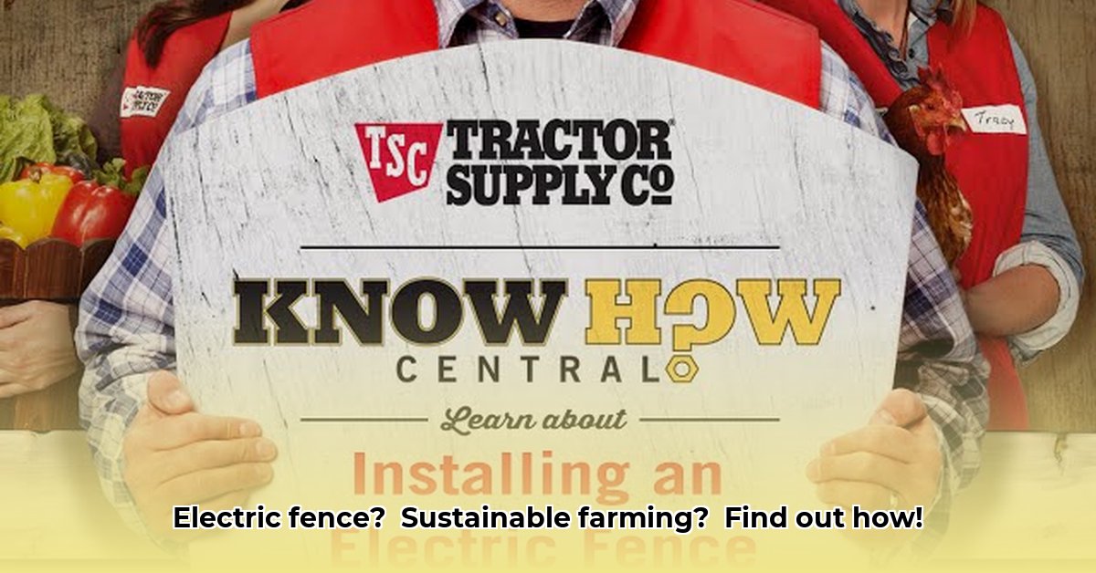electric-fence-posts-tractor-supply